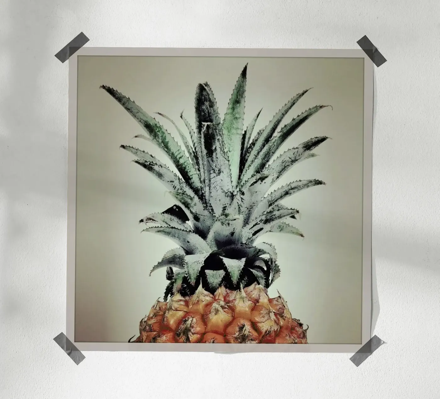 Pine Nutty poster van Ballack Art House
