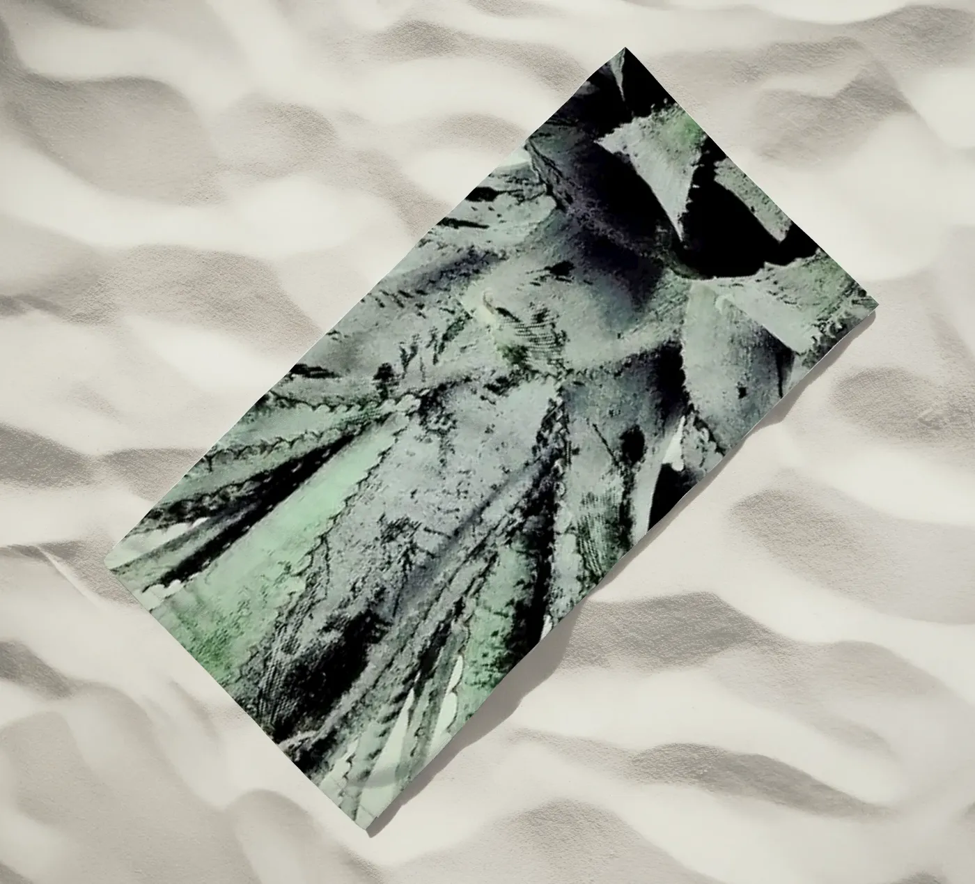 Pine Nutty telo mare da Ballack Art House