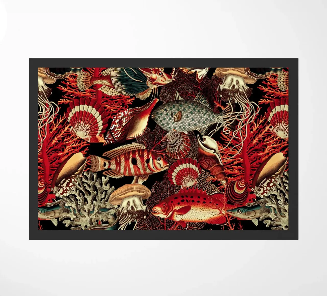 Fish and Corals I zerbino da burcukorkmazyurek