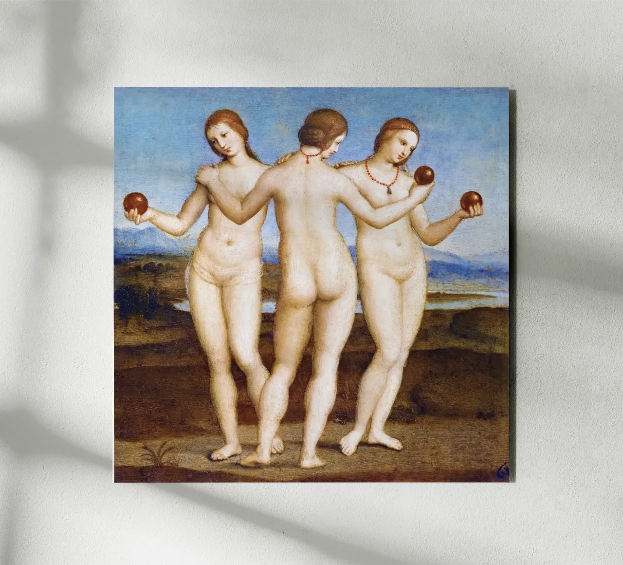 Le tre grazie di Raffaello (1504) alluminio dibond da Venus Art