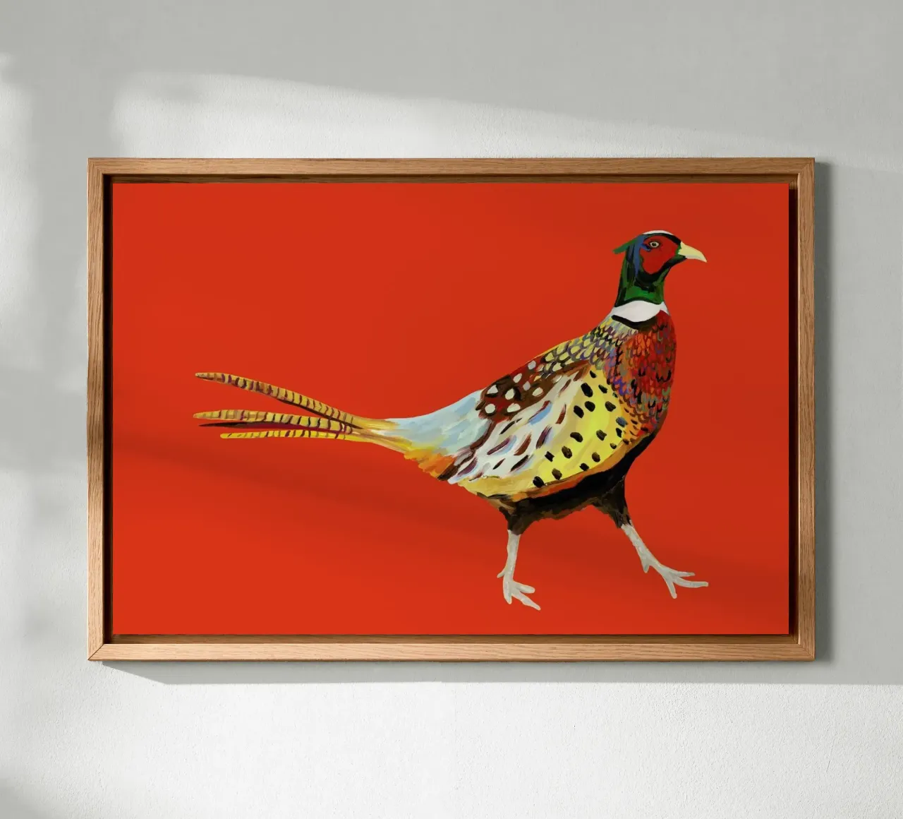 Strutting Pheasant On Orange alluminio dibond da Alice Straker