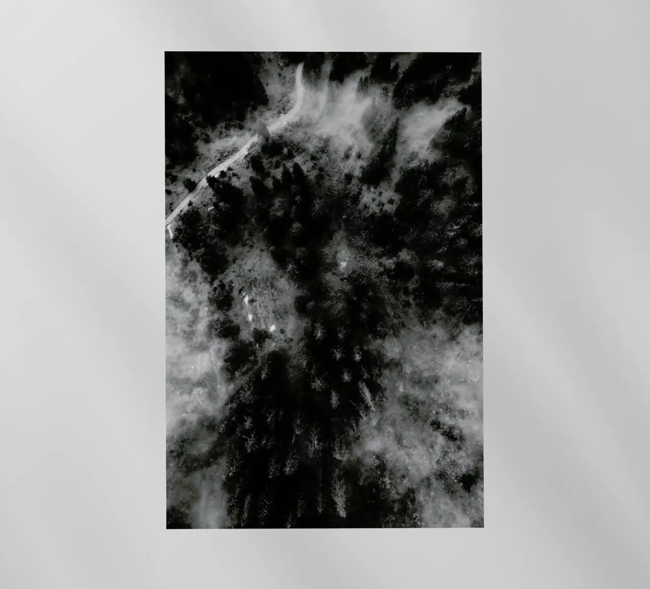 Tree Tops In The Clouds pellicola backlit da Sebastian Hilgetag