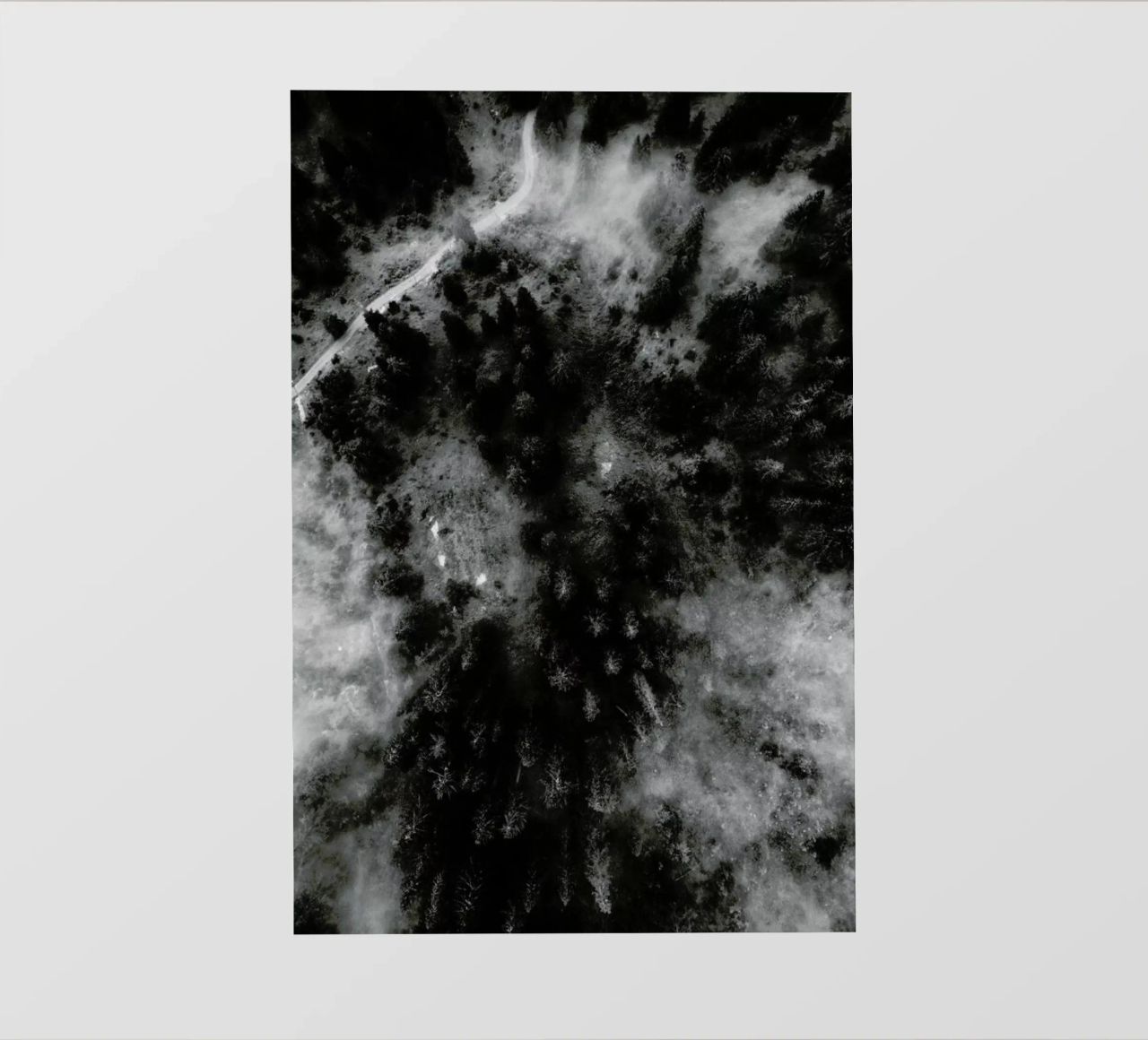 Tree Tops In The Clouds pellicola backlit da Sebastian Hilgetag