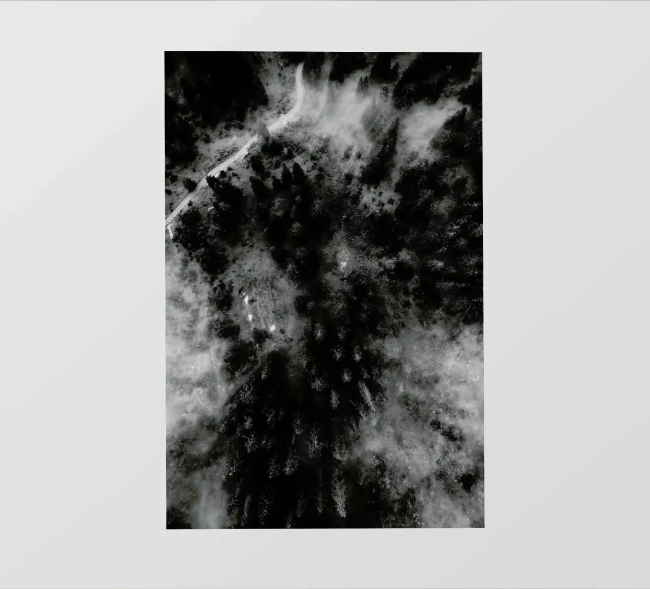 Tree Tops In The Clouds telo in pvc da Sebastian Hilgetag