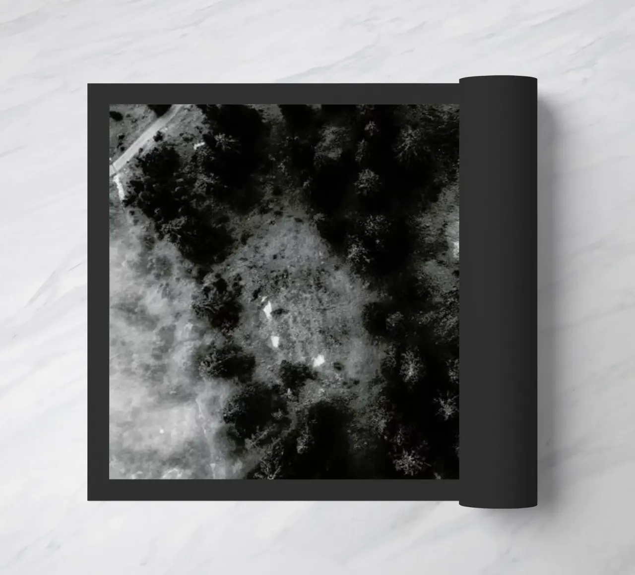 Tree Tops In The Clouds zerbino da Sebastian Hilgetag
