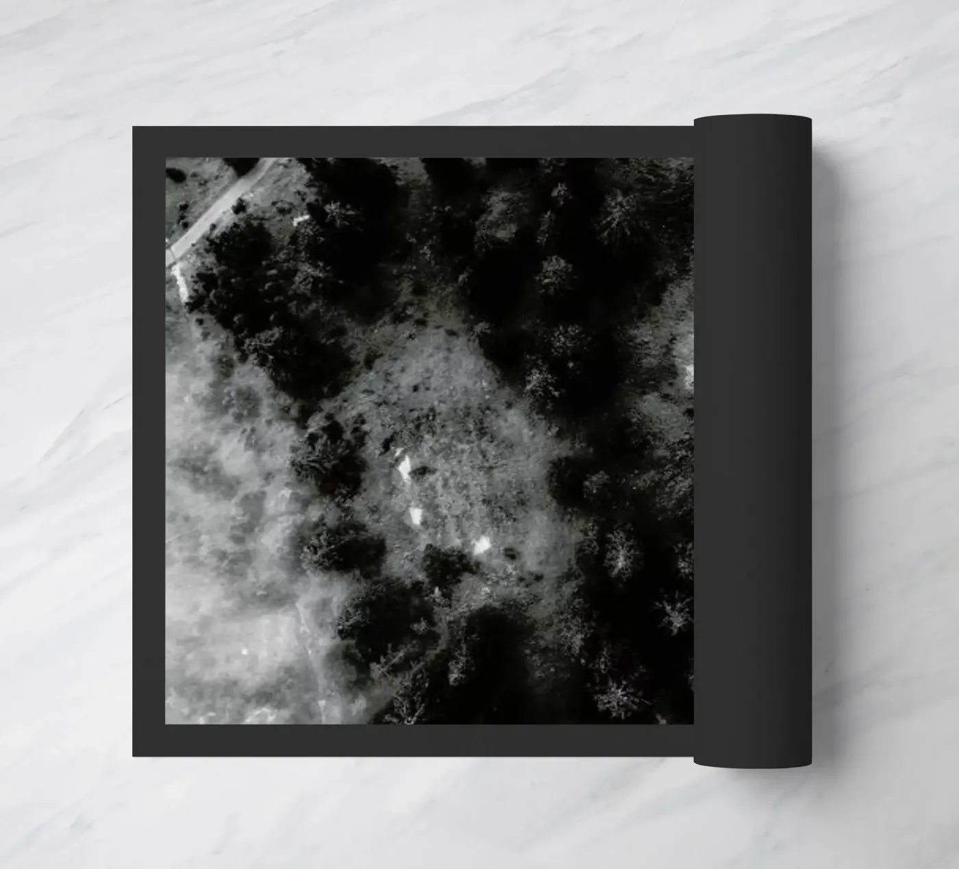 Tree Tops In The Clouds zerbino da Sebastian Hilgetag