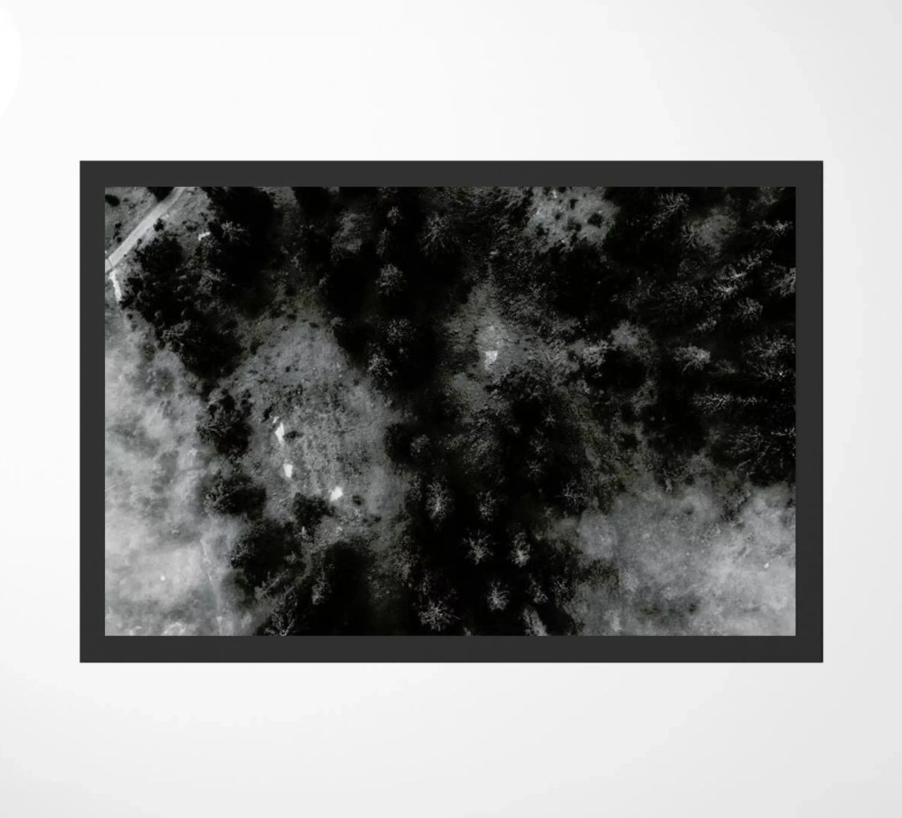 Tree Tops In The Clouds zerbino da Sebastian Hilgetag