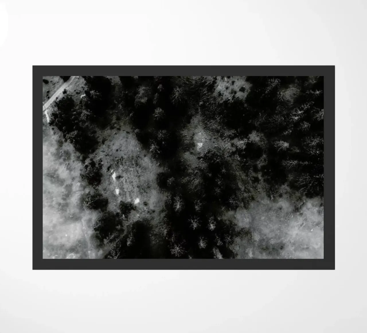 Tree Tops In The Clouds zerbino da Sebastian Hilgetag