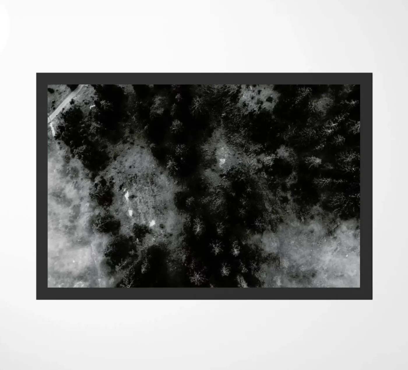 Tree Tops In The Clouds zerbino da Sebastian Hilgetag