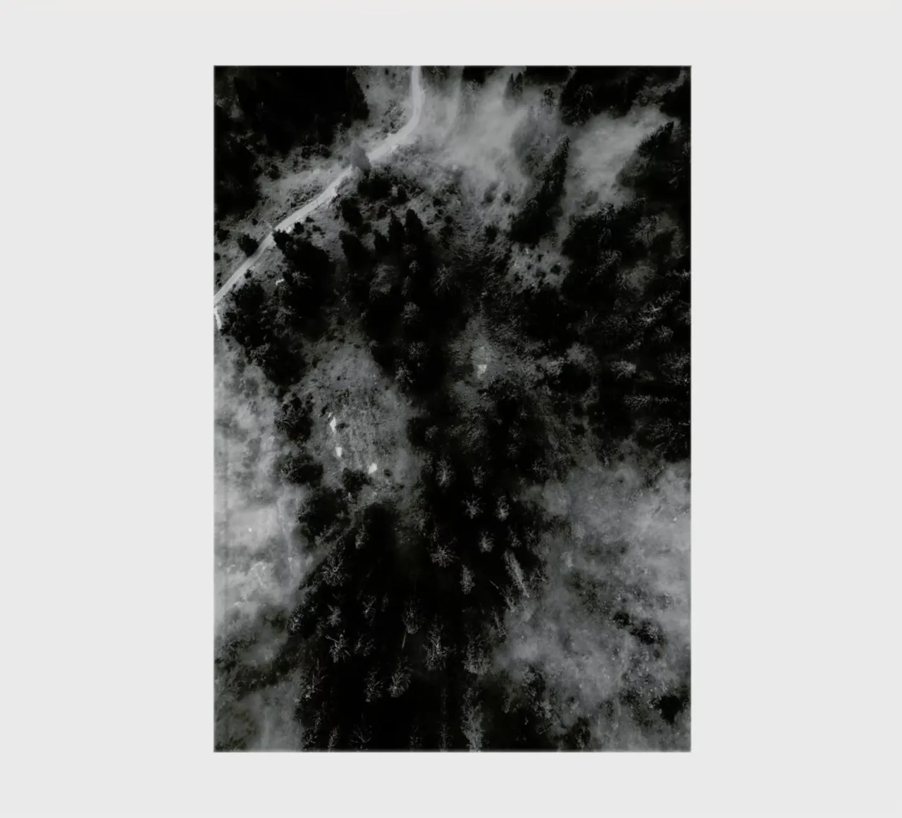 Tree Tops In The Clouds notebook by Sebastian Hilgetag