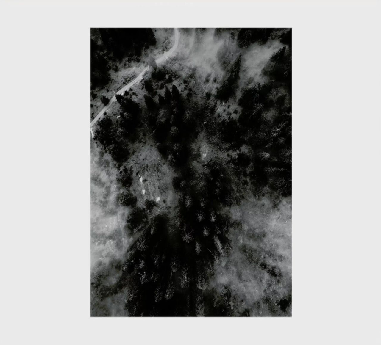 Tree Tops In The Clouds diario da Sebastian Hilgetag