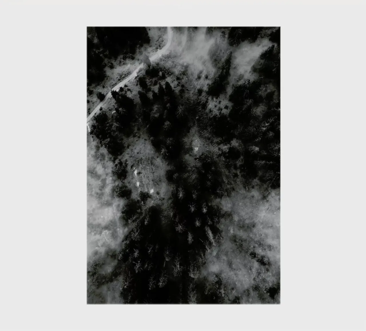 Tree Tops In The Clouds notebook by Sebastian Hilgetag