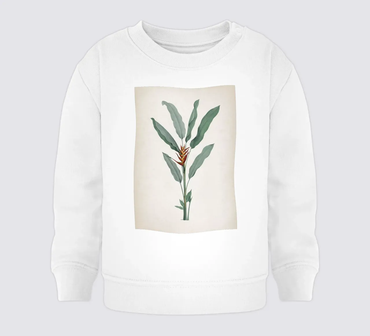 Vintage Redouté 2 Heliconia Humilis felpa neonato da Vintage Print Collection