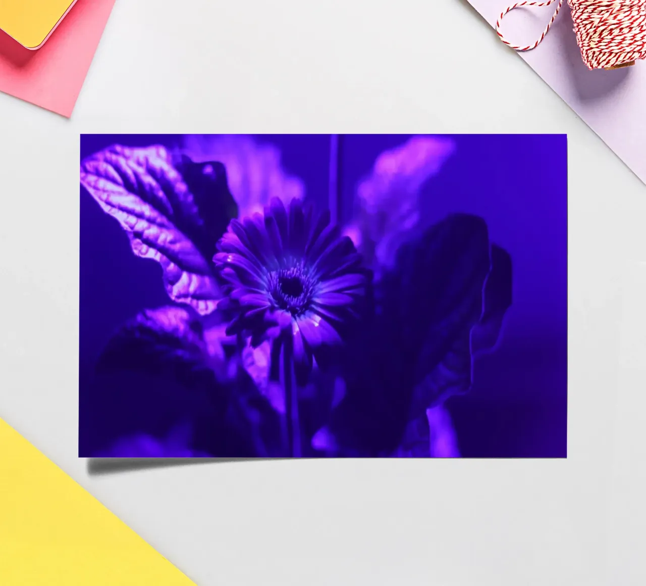 Zwart licht fotografie stickervel van Alexandra Joseph Fotomomente