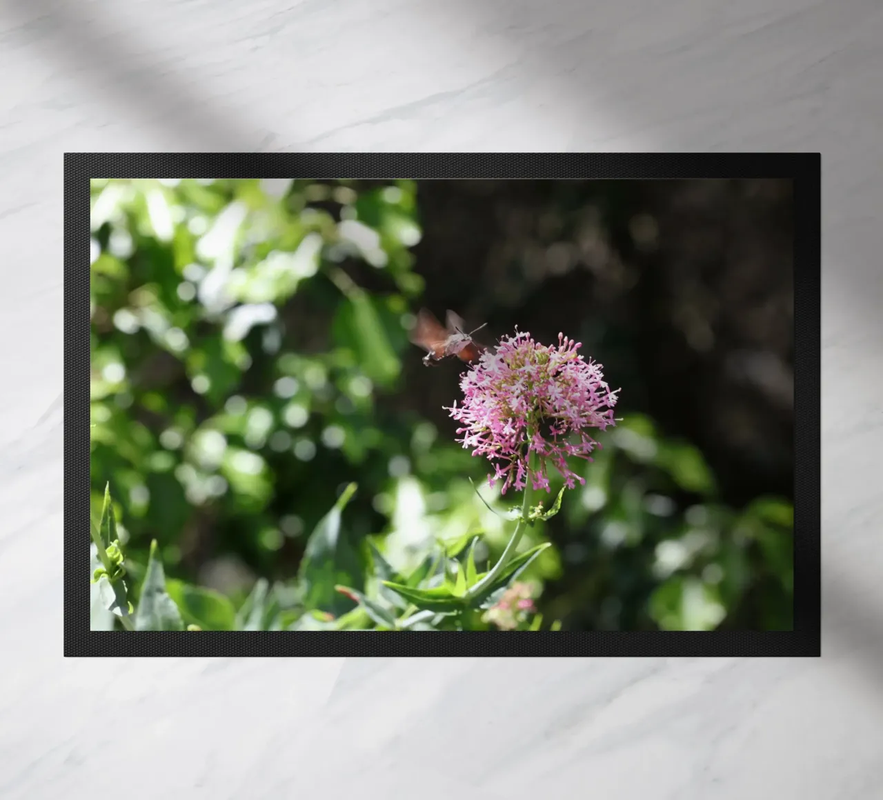 Il fiore e la farfalla zerbino da Alexandra Joseph Fotomomente