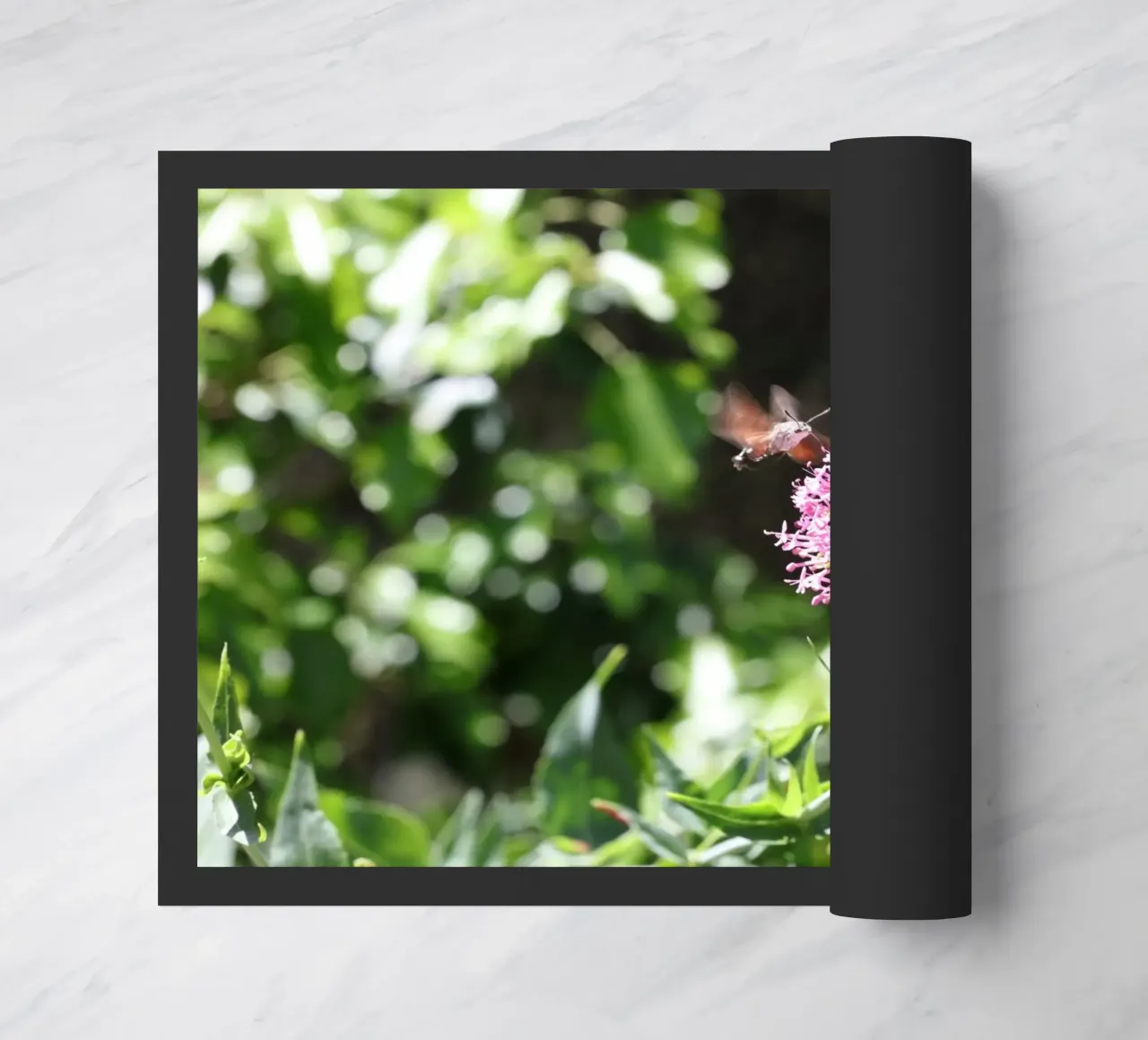 Il fiore e la farfalla zerbino da Alexandra Joseph Fotomomente