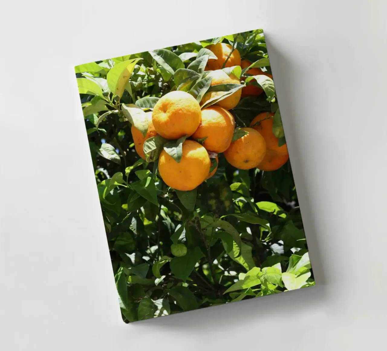 A tree full of fruit notebook by Alexandra Joseph Fotomomente