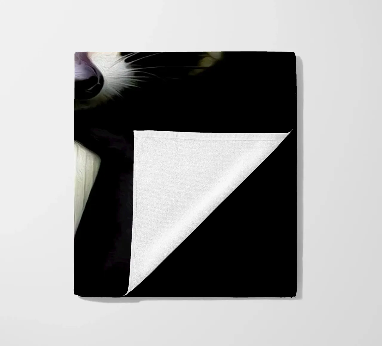 Coon telo mare da Tein Lucasson