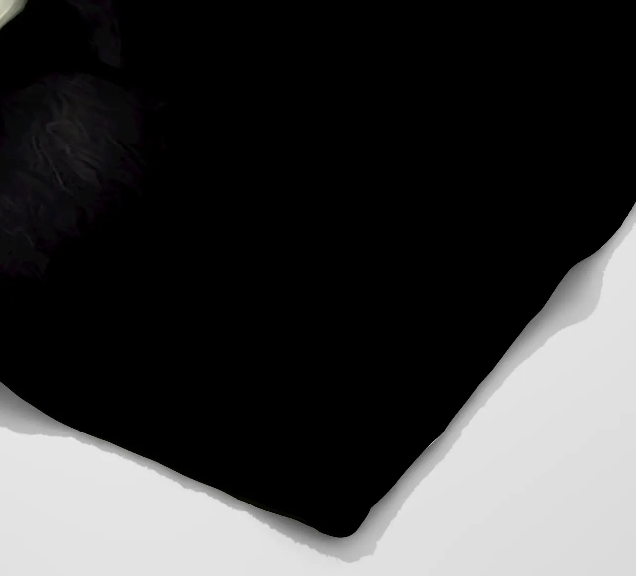 Coon fleece blanket by Tein Lucasson