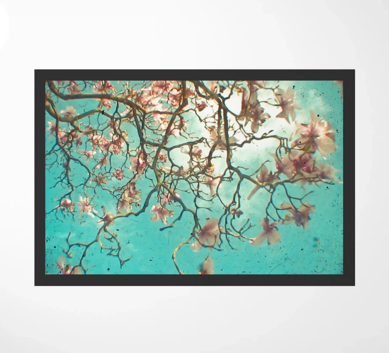 Il giardino pensile zerbino da Cassia Beck Photography