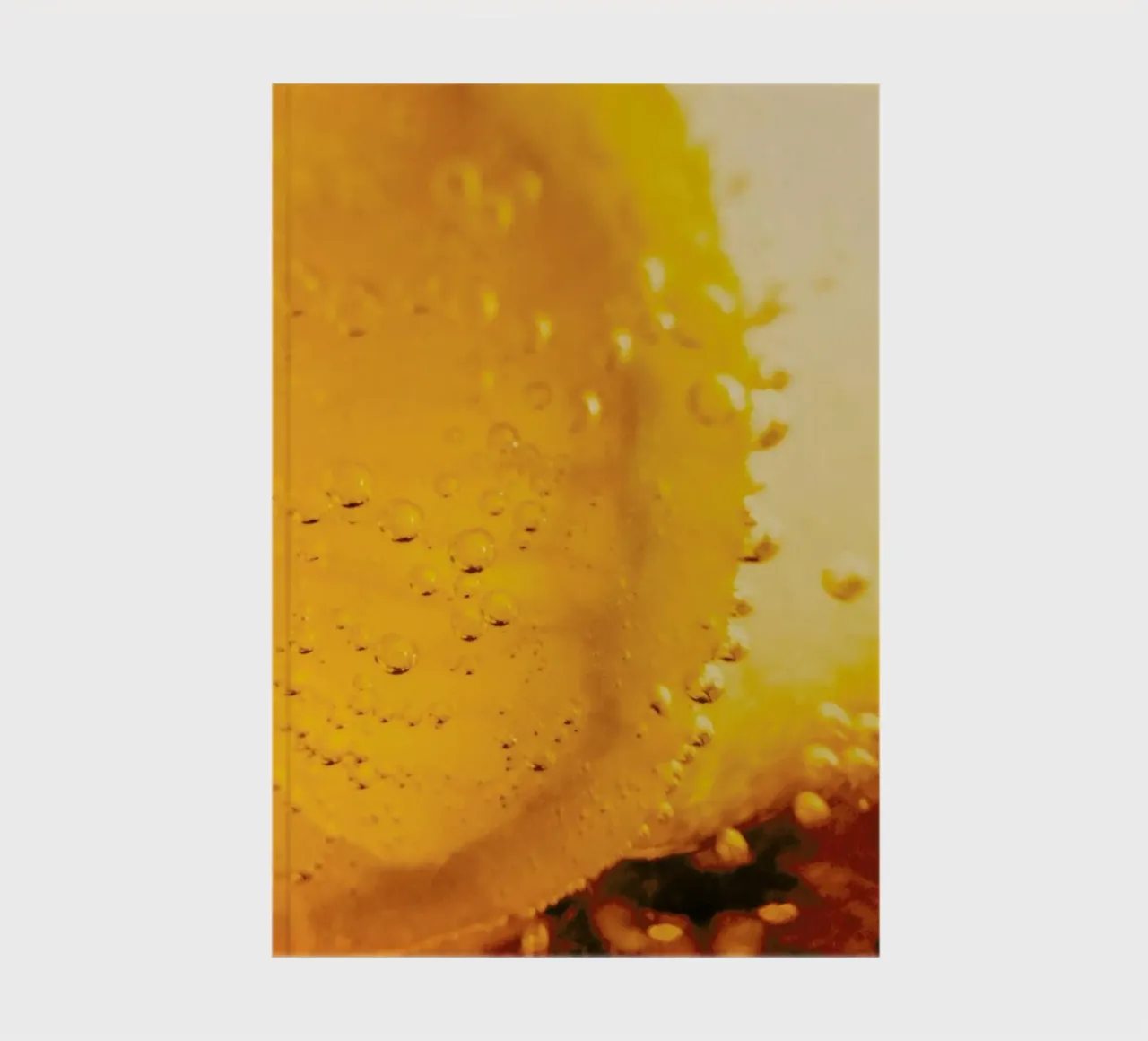 Lemon Close Up notebook by Sebastian Hilgetag