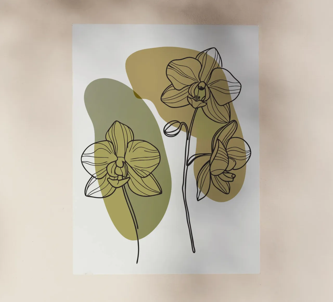 Due fiori di orchidea pellicola backlit da RELAXING TOUCH