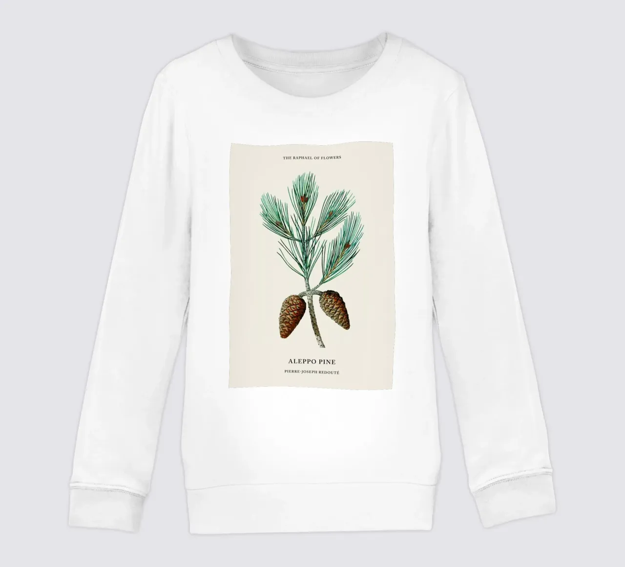 Pierre-Joseph Redouté - Aleppo Pine felpa bambino da Vintage by JUNIQE