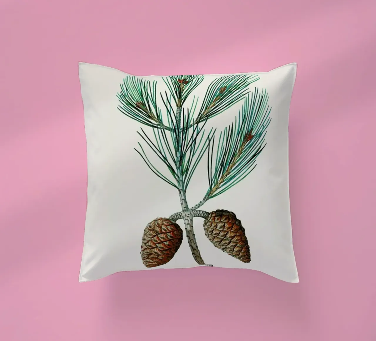 Pierre-Joseph Redouté - Aleppo Pine cuscino da Vintage by JUNIQE