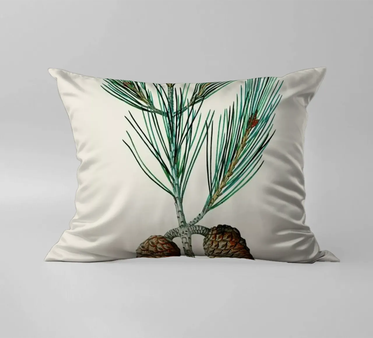 Pierre-Joseph Redouté - Aleppo Pine cuscino da Vintage by JUNIQE