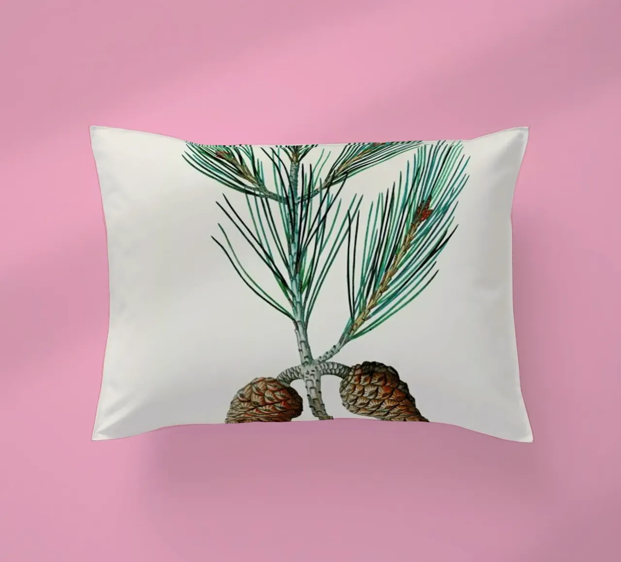 Pierre-Joseph Redouté - Aleppo Pine cuscino da Vintage by JUNIQE