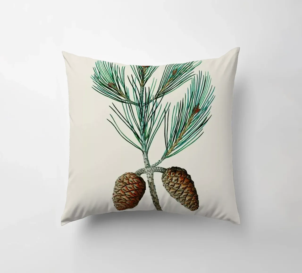 Pierre-Joseph Redouté - Aleppo Pine cuscino da Vintage by JUNIQE