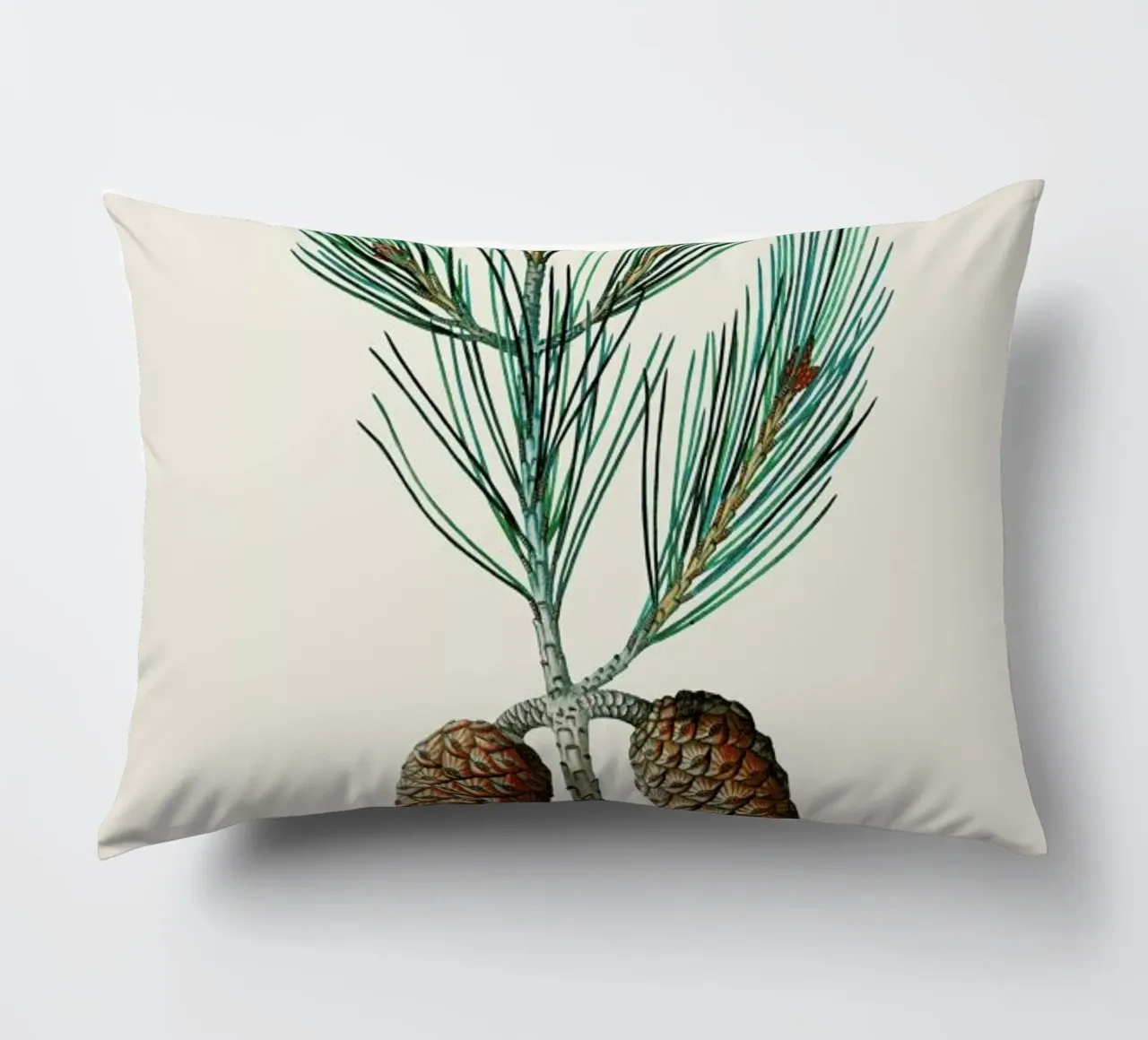 Pierre-Joseph Redouté - Aleppo Pine cuscino da Vintage by JUNIQE