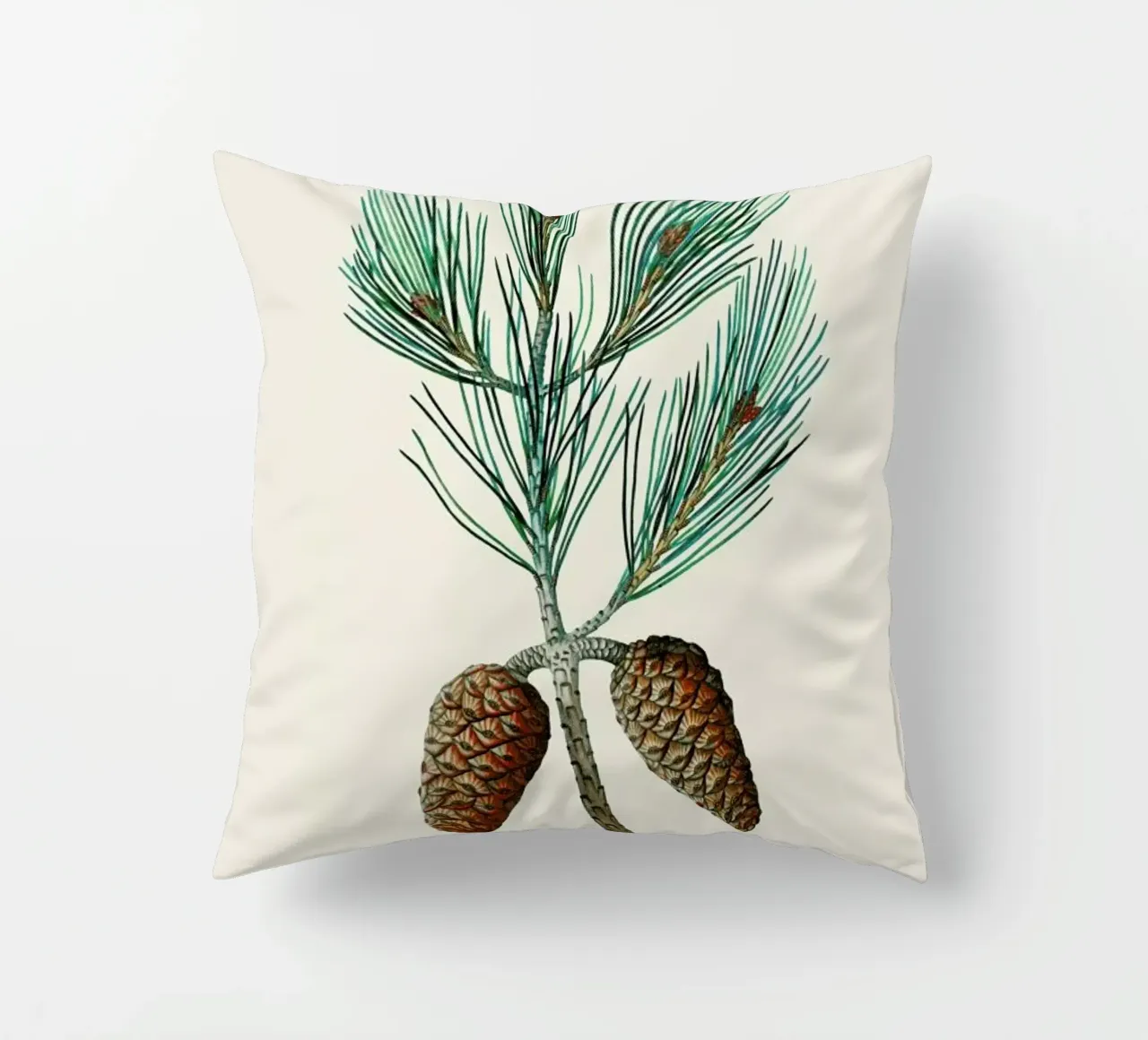 Pierre-Joseph Redouté - Aleppo Pine cuscino da Vintage by JUNIQE