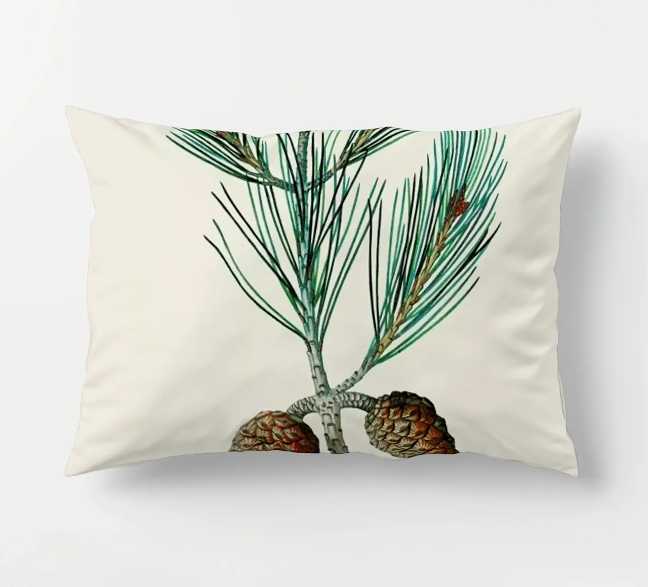 Pierre-Joseph Redouté - Aleppo Pine cuscino da Vintage by JUNIQE