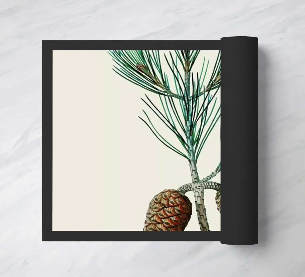 Pierre-Joseph Redouté - Aleppo Pine zerbino da Vintage by JUNIQE