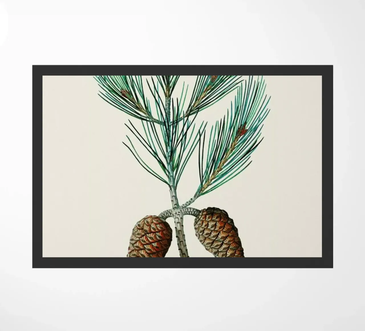 Pierre-Joseph Redouté - Aleppo Pine zerbino da Vintage by JUNIQE