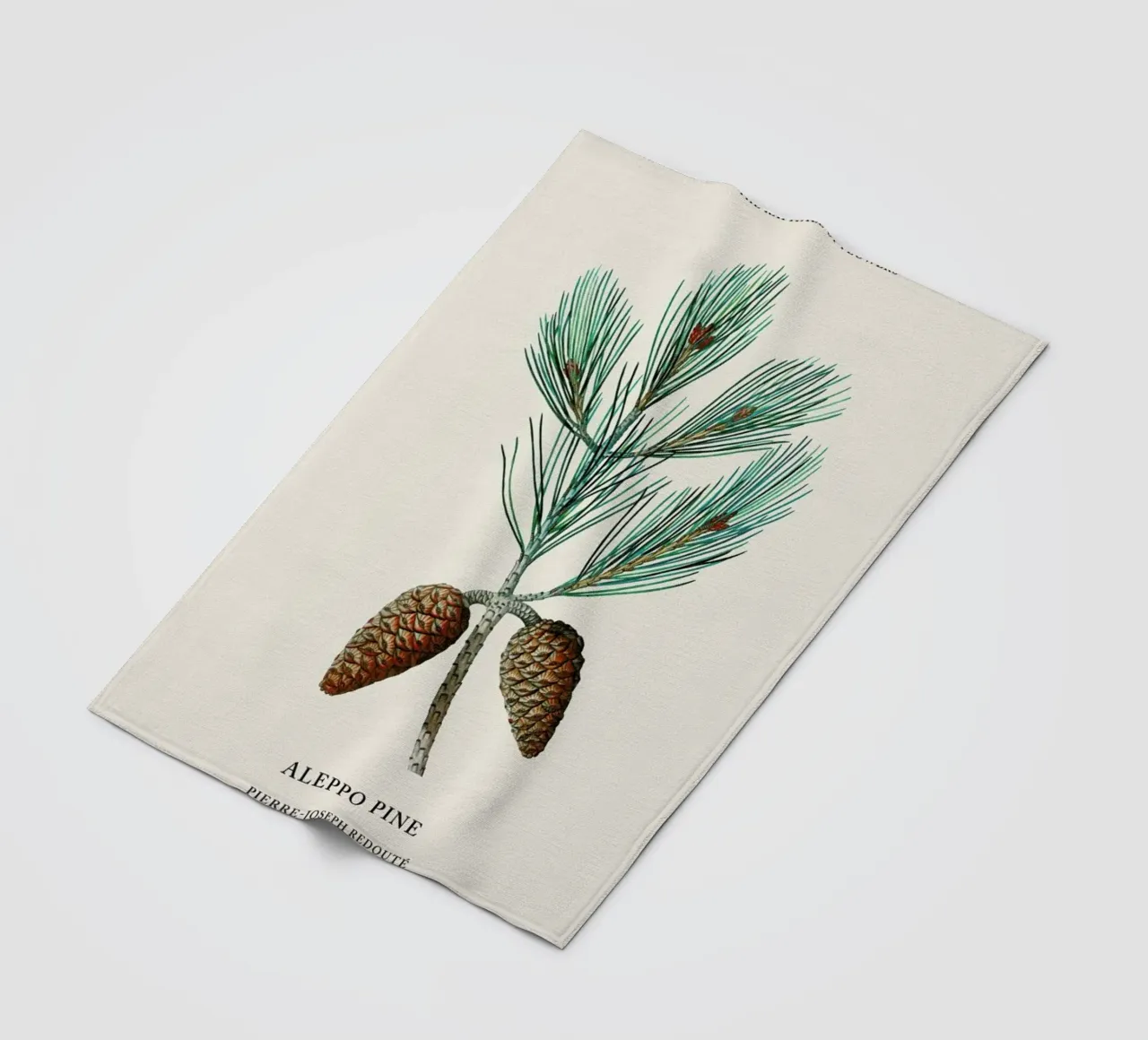 Pierre-Joseph Redouté - Aleppo Pine coperta in pile da Vintage by JUNIQE