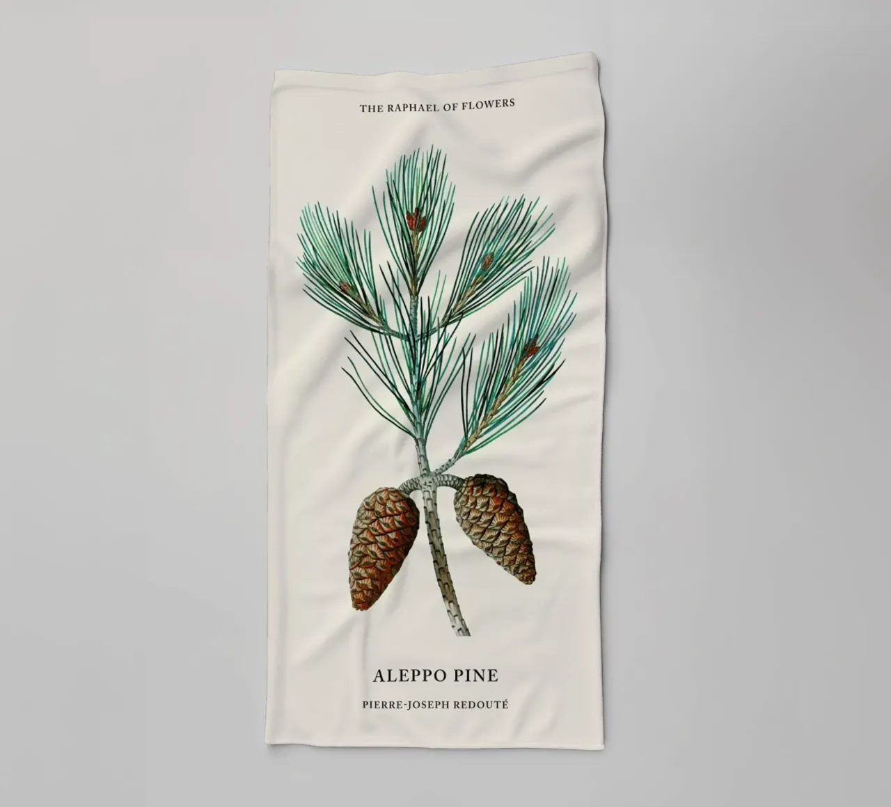 Pierre-Joseph Redouté - Aleppo Pine asciugamano da bagno da Vintage by JUNIQE