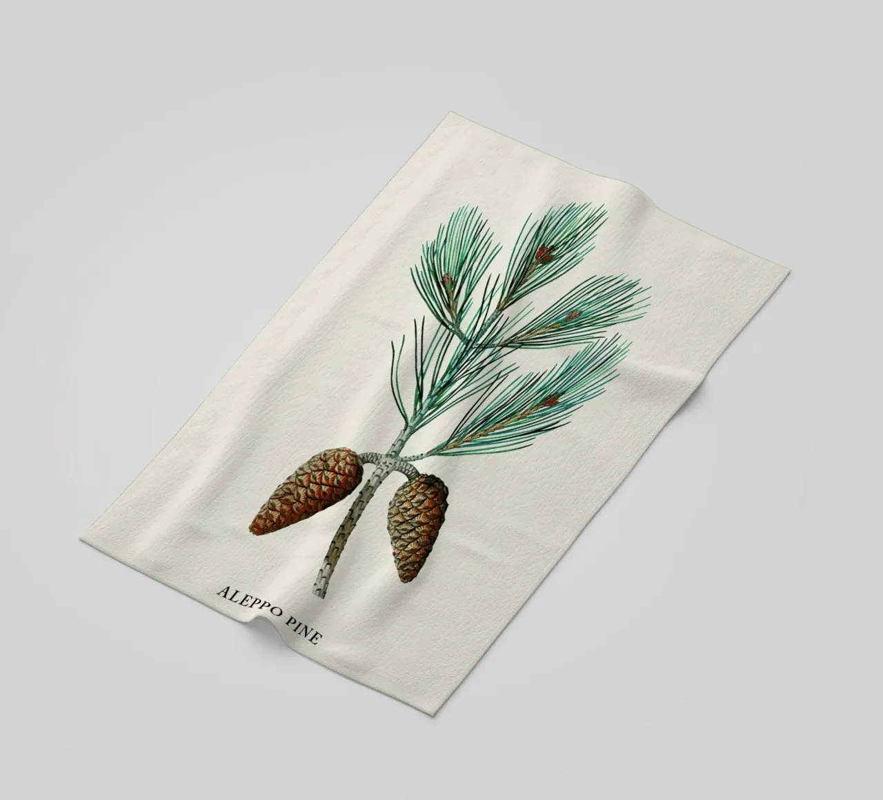 Pierre-Joseph Redouté - Aleppo Pine telo mare da Vintage by JUNIQE