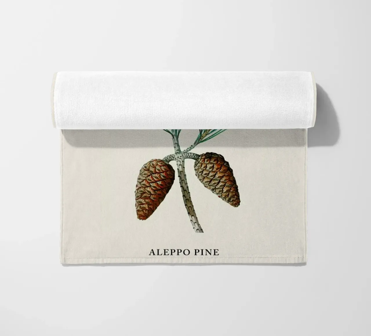 Pierre-Joseph Redouté - Aleppo Pine telo mare da Vintage by JUNIQE