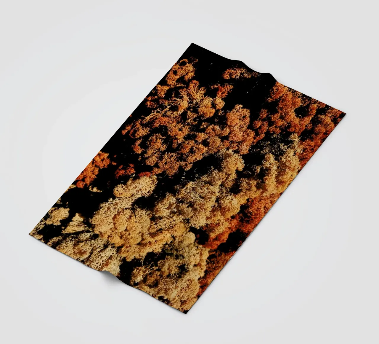 Abstract Plant Textures coperta in pile da Sebastian Hilgetag