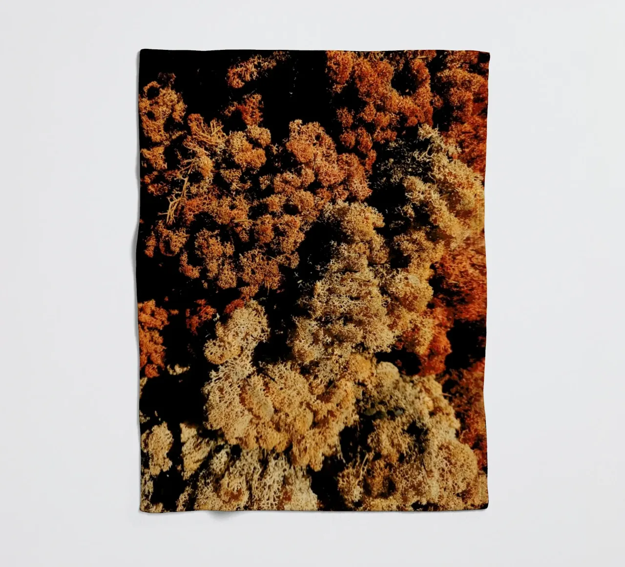 Abstract Plant Textures coperta in pile da Sebastian Hilgetag