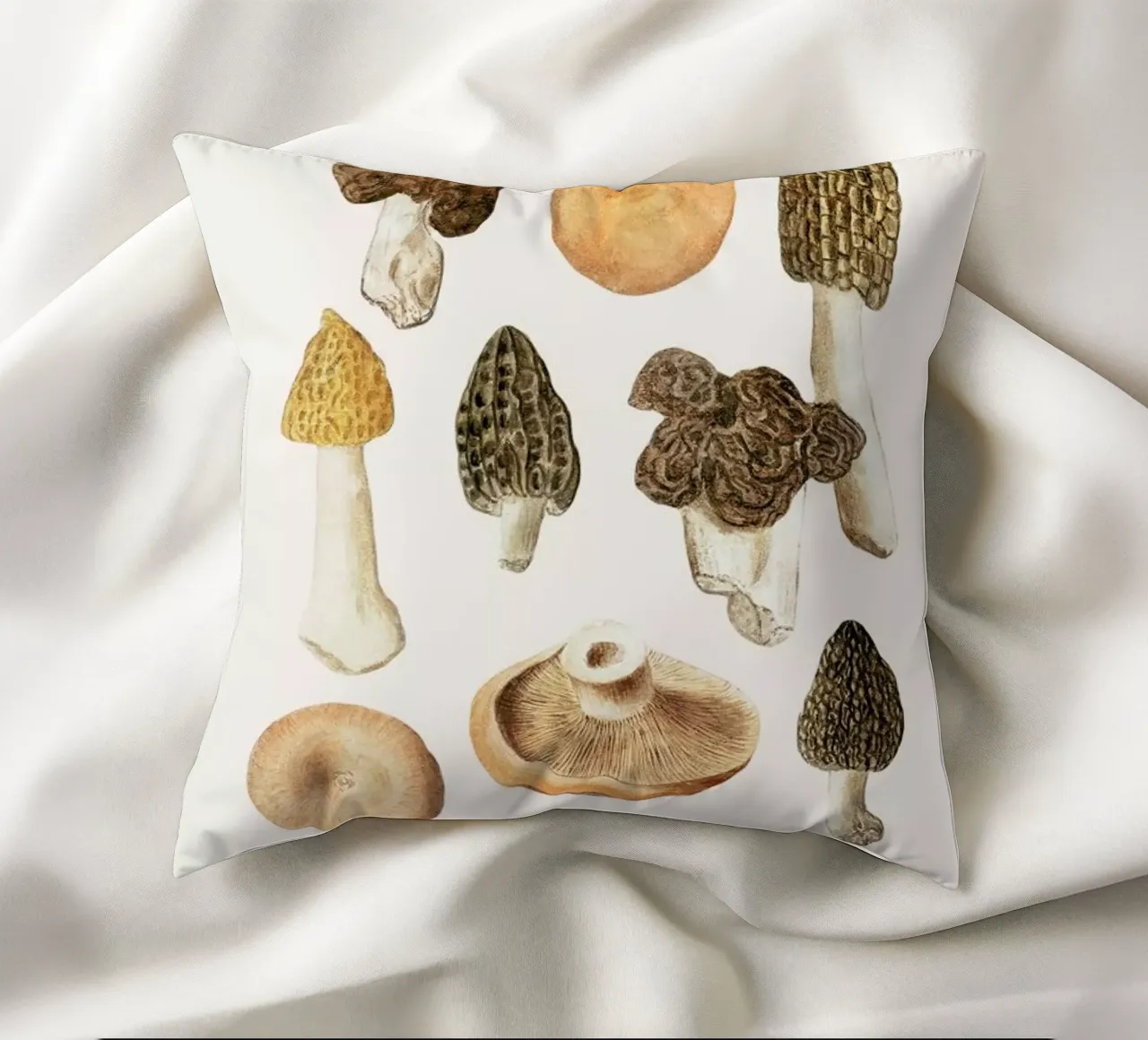 Anselmus Boëtius de Boodt - Morels decorative cushion by Vintage by JUNIQE