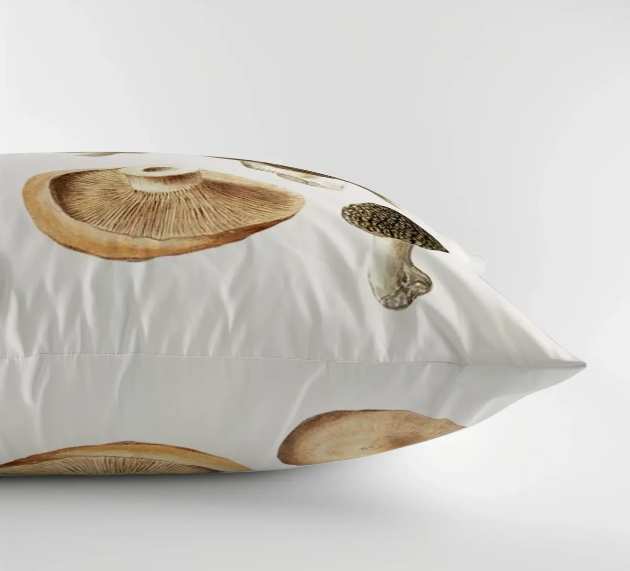 Anselmus Boëtius de Boodt - Morels decorative cushion by Vintage by JUNIQE