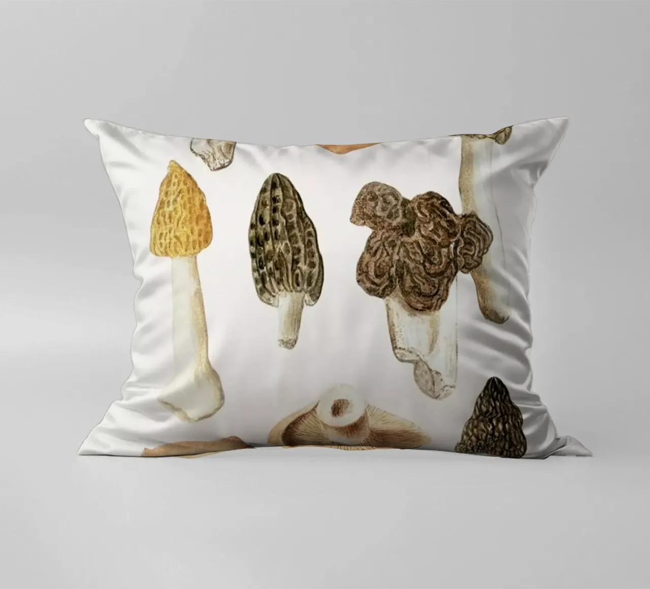 Anselmus Boëtius de Boodt - Morels decorative cushion by Vintage by JUNIQE