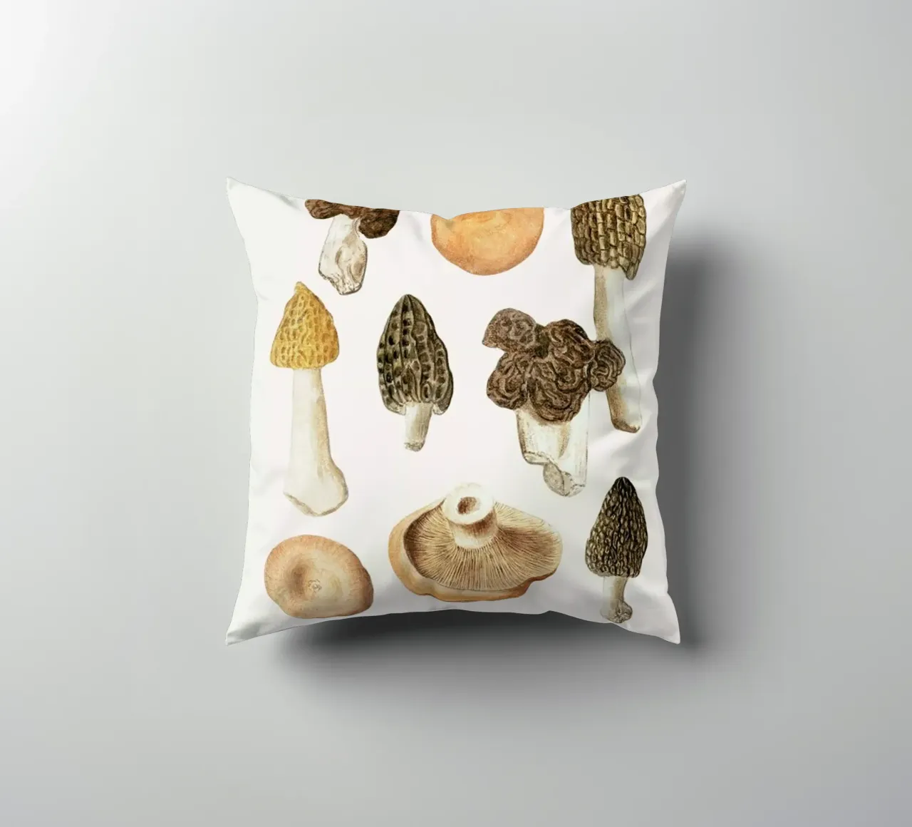 Anselmus Boëtius de Boodt - Morels decorative cushion by Vintage by JUNIQE