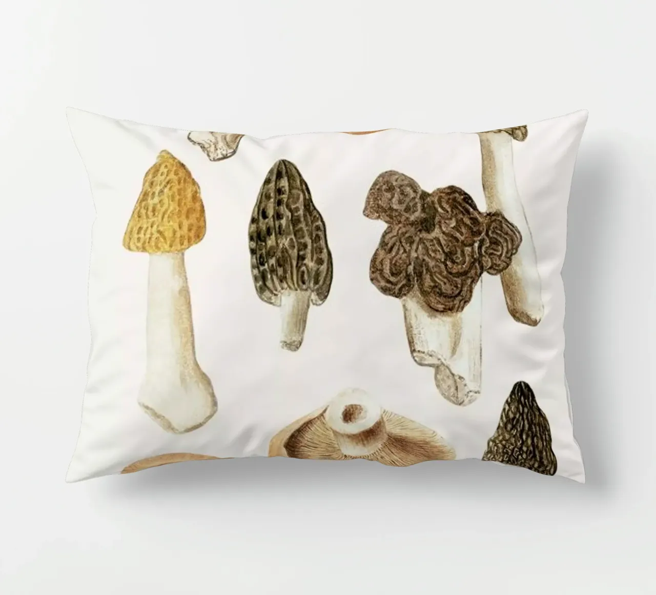 Anselmus Boëtius de Boodt - Morels decorative cushion by Vintage by JUNIQE
