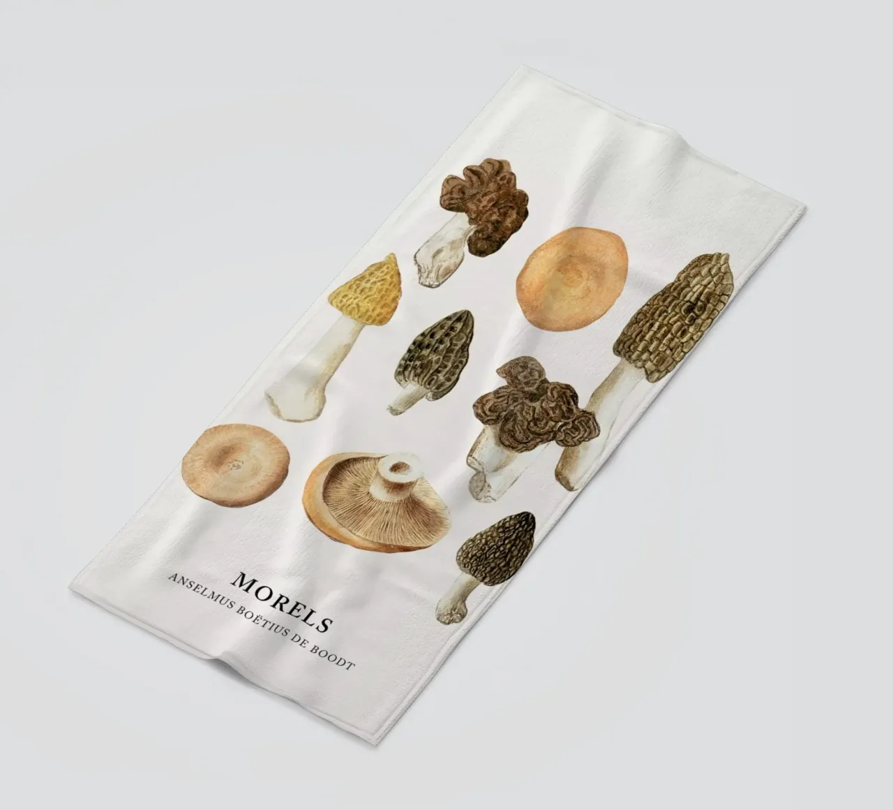 Anselmus Boëtius de Boodt - Morels telo mare da Vintage by JUNIQE