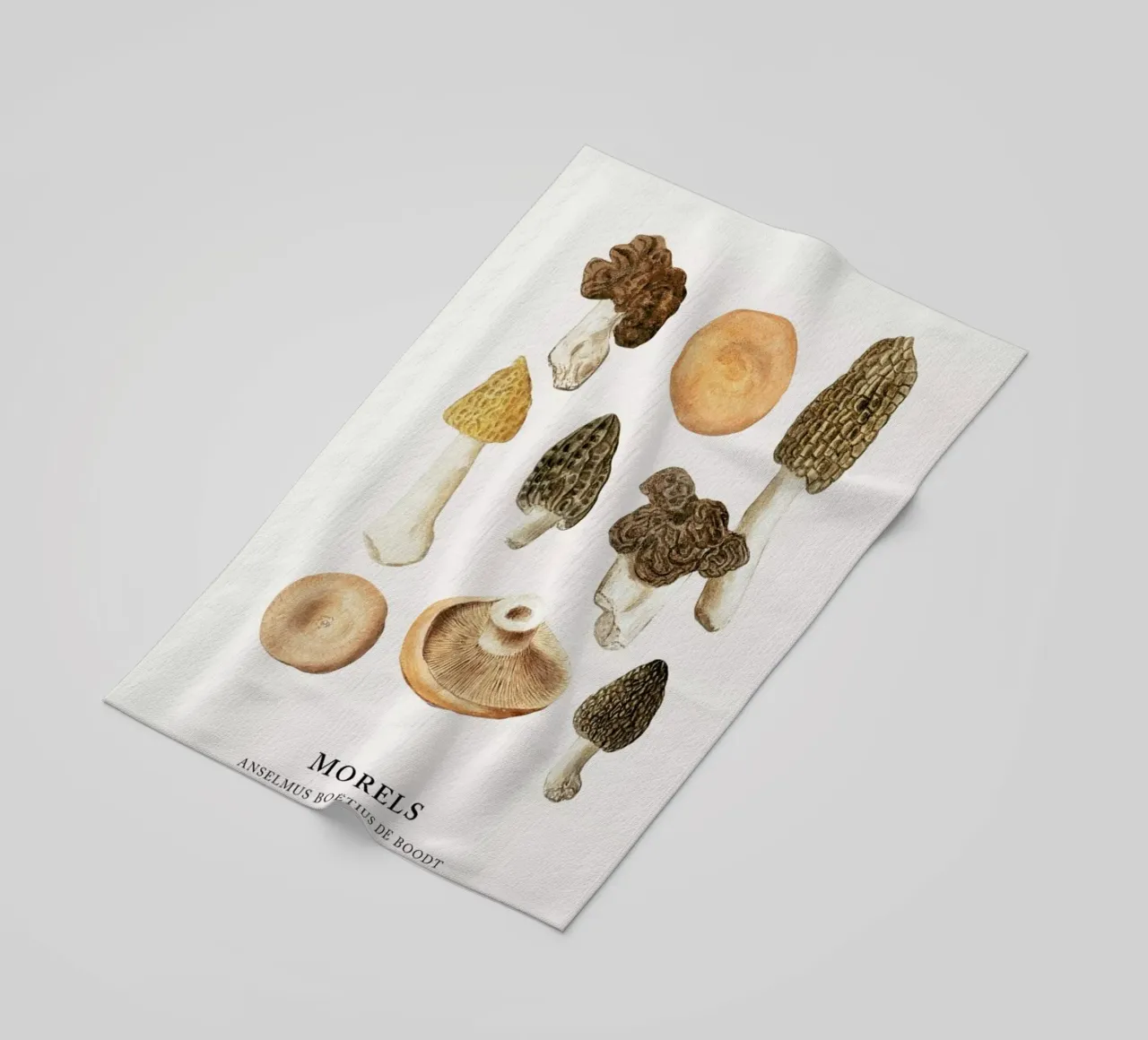Anselmus Boëtius de Boodt - Morels telo mare da Vintage by JUNIQE