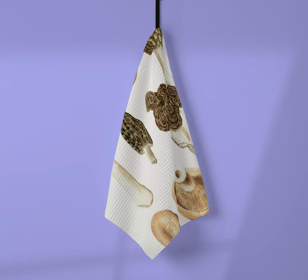 Anselmus Boëtius de Boodt - Morels canovaccio da cucina da Vintage by JUNIQE